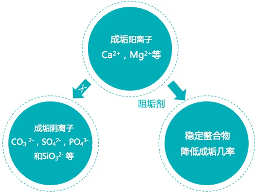宝莱尔 反渗透阻垢剂 TRISPE 8000  8倍浓缩液 适用于高铁水型 厂家直供 英国POLYMER品牌 价格详谈示例图1