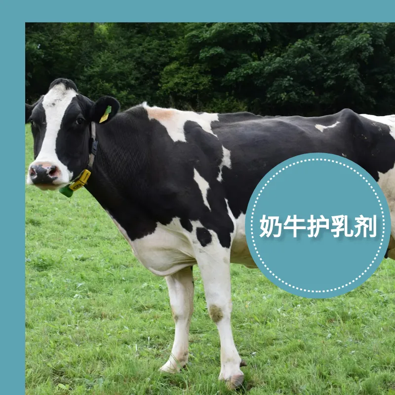 畜牧清洁奶牛护乳剂 宝莱尔