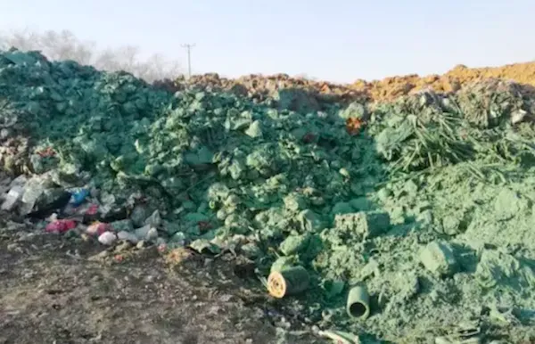 宝莱尔 无土覆盖材料 POLYTE® Cover 2000 中期覆盖系列 英国POLYMER品牌 厂家直供 价格面议示例图1